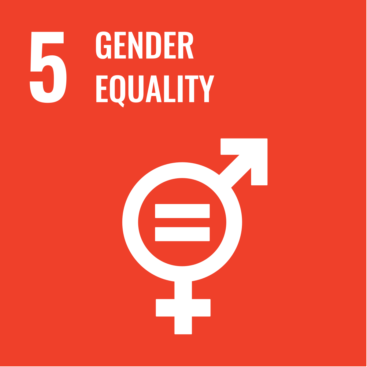 Icon for 'Sustainable Development Goal 5