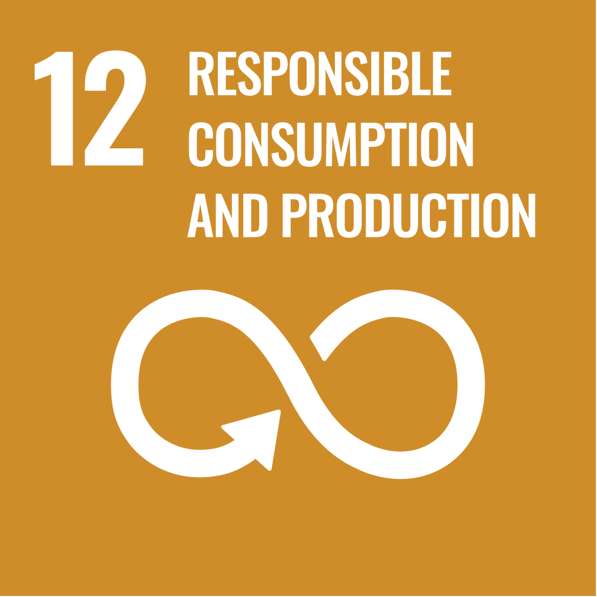 Icon for 'Sustainable Development Goal 12
