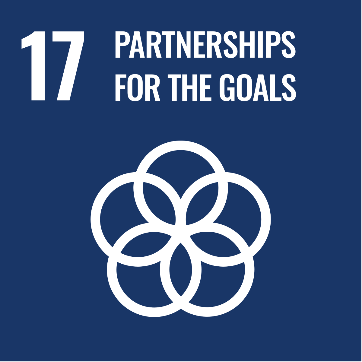 Icon for 'Sustainable Development Goal 17